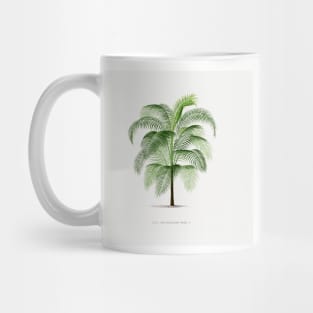 4 Les Palmiers Histoire Mug